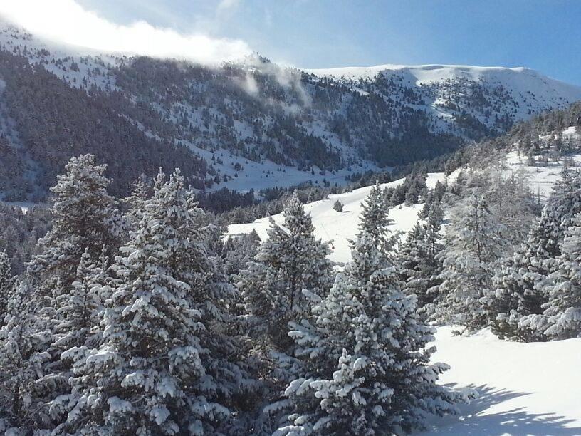 Roca Blanca Otel Espot Dış mekan fotoğraf
